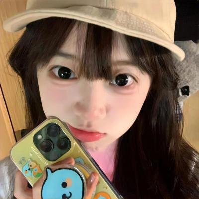拿破仑美人关
