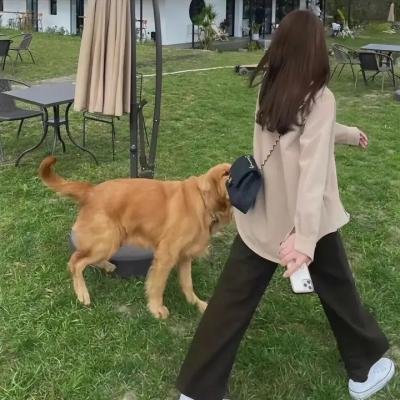 卧底伴娘
